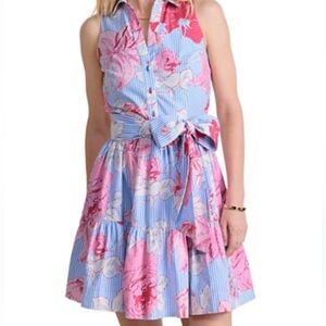 Vineyard Vines Striped Blue and Pink Floral Dress